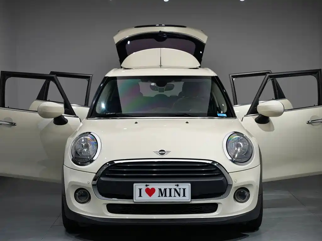 MINI MINI 2020