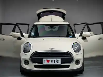 MINI MINI 2020