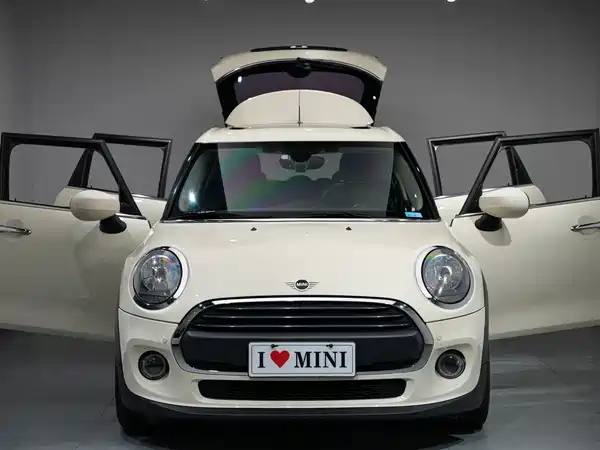 MINI 2020