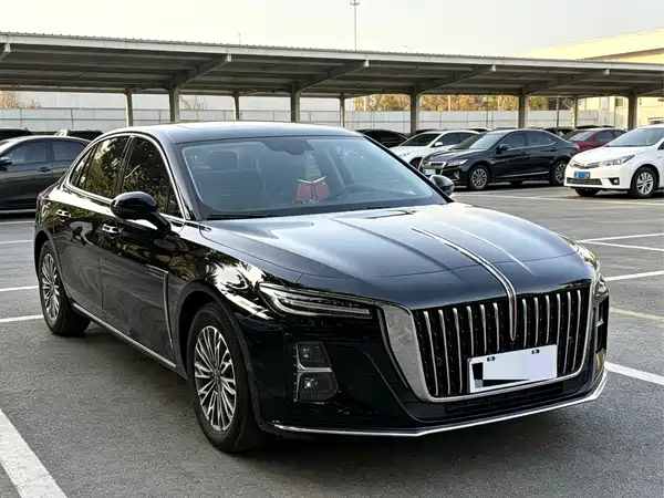 Hongqi H5 2024