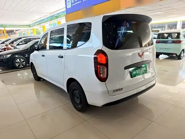 Wuling Hongguang New Energy 2025