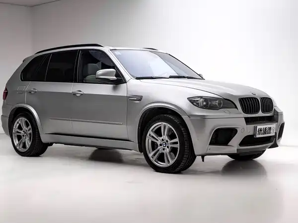 BMW X5 M 2010