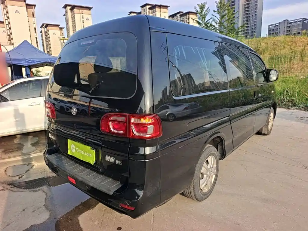 Fengxing Lingzhi 2020