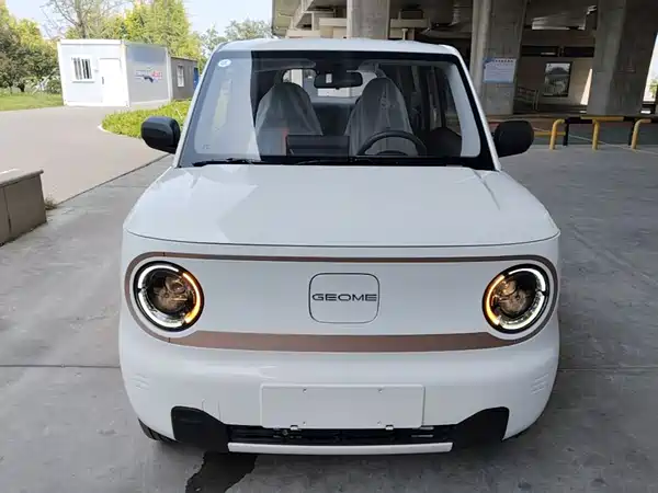 Geely Galaxy Panda 2026