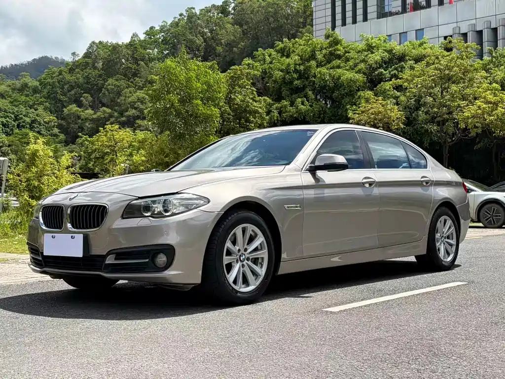 BMW 5 Series 2014 — фото 1