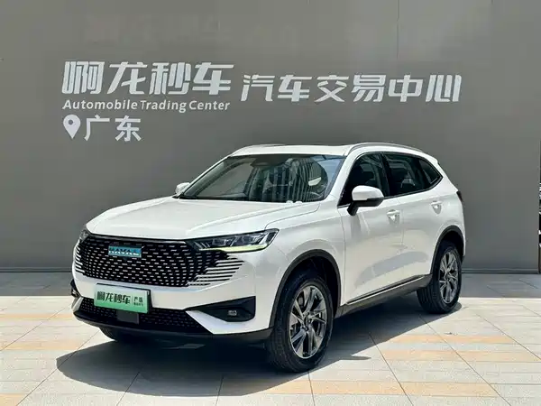 Haval H6 New Energy 2023