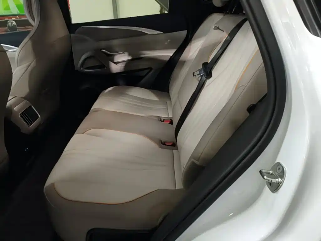 BYD Song Pro New Energy 2024 — фото 17
