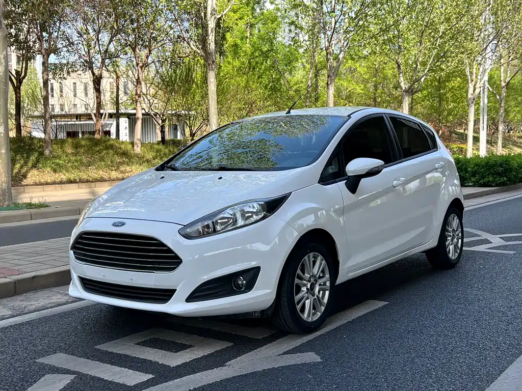 Ford Fiesta 2014 — фото 3