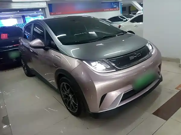 BYD Dolphin 2021