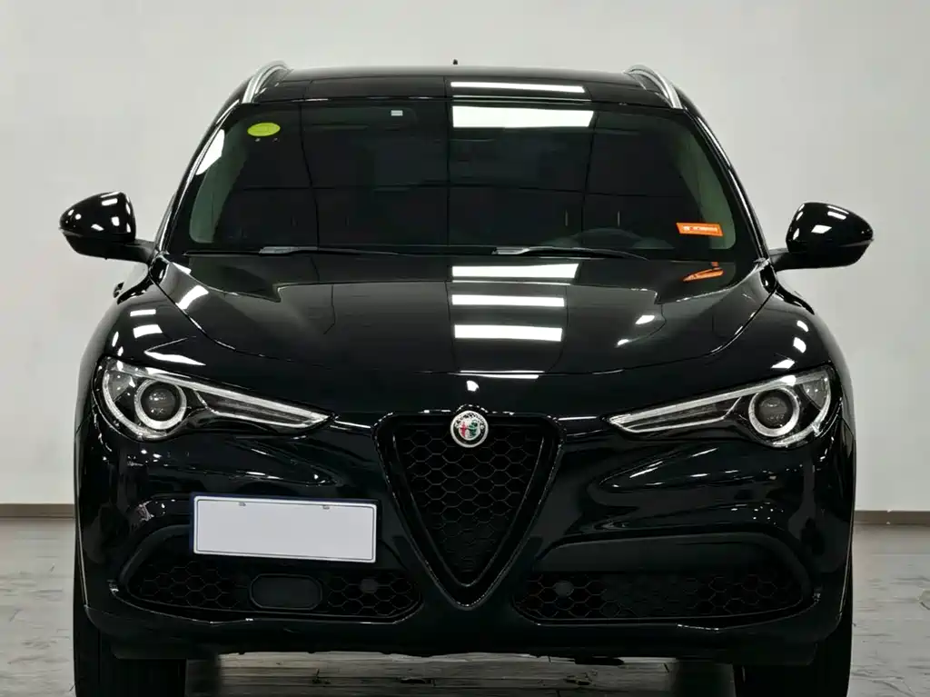 Alfa Romeo Stelvio 2019 — фото 1