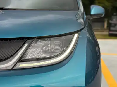 BYD Dolphin 2022