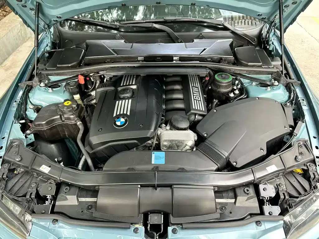 BMW 3 Series 2010
