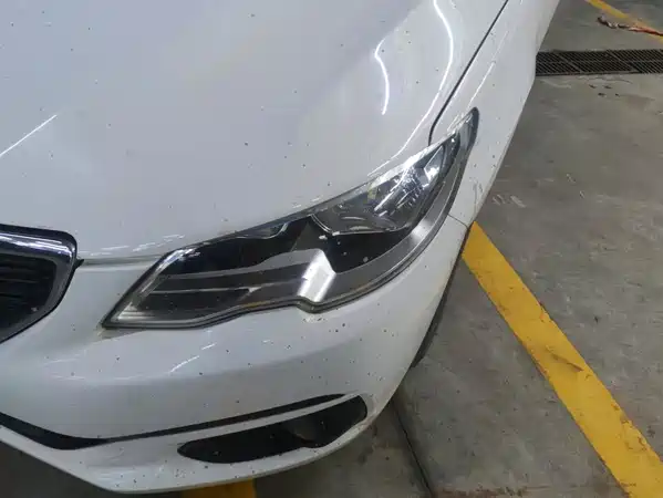 Peugeot 301 2017