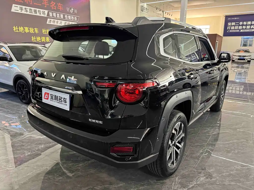 Haval Dog PLUS 2025 — фото 9