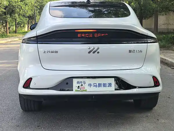 IM Motors LS6 2024