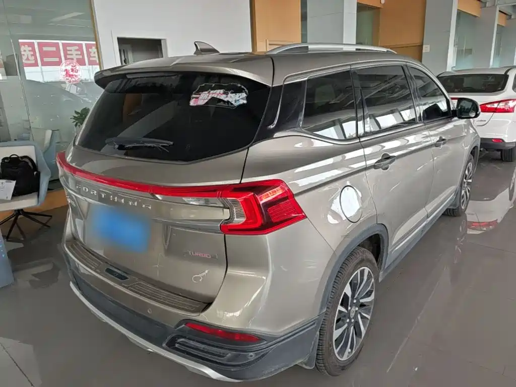 Fengxing T5 2019