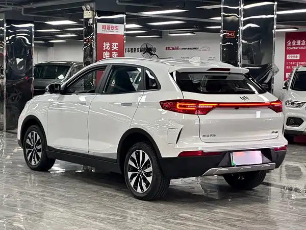 WM Motor EX5 2019