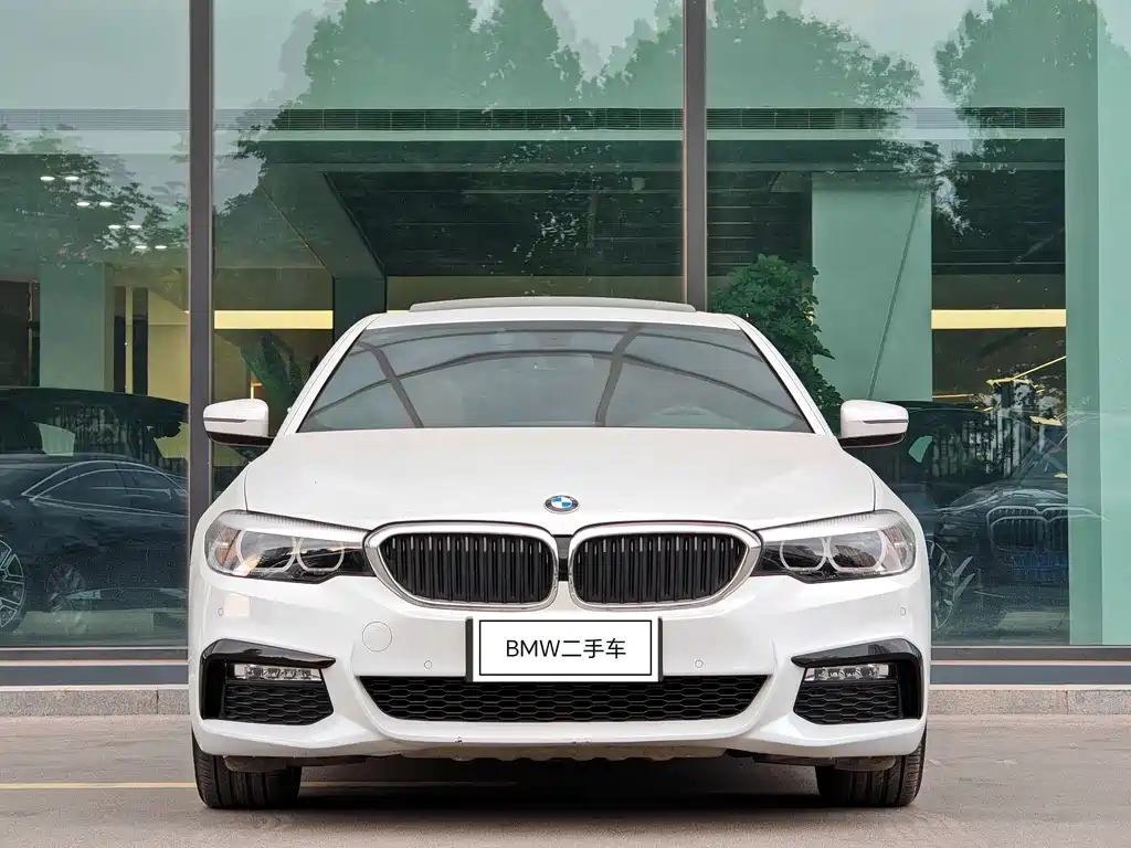 BMW 5 Series 2017 — фото 3