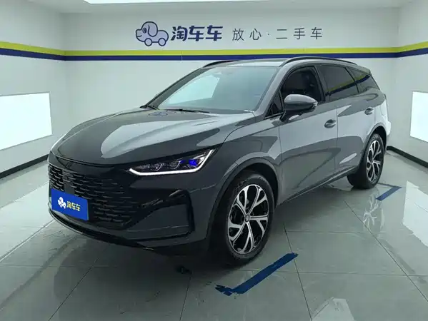 BYD Tang New Energy 2025