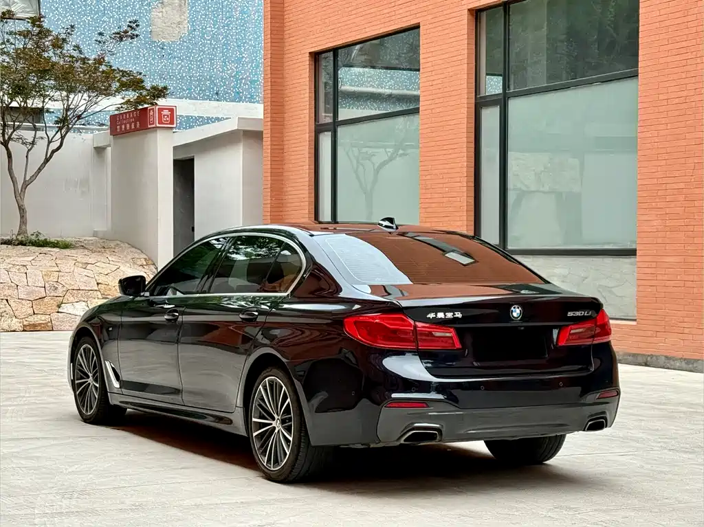 BMW 5 Series 2020 — фото 6