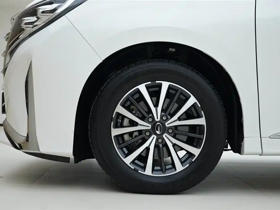 GAC Motor Trumpchi M8 2021 — фото 16