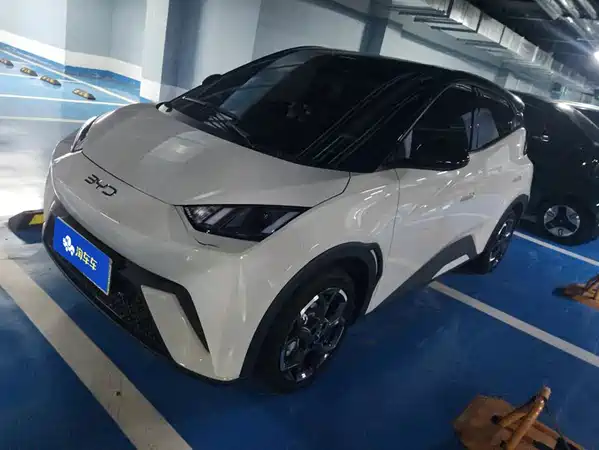 BYD Seagull 2024