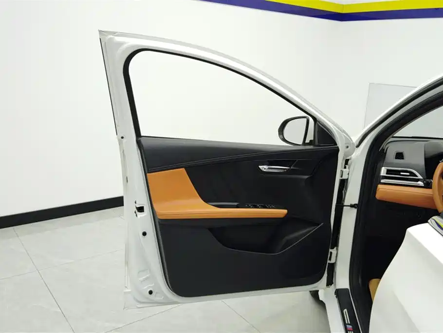 BYD e2 2022