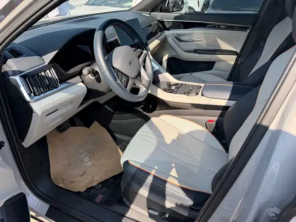 BYD Song PLUS New Energy 2024