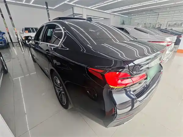 BMW 5 Series New Energy 2021