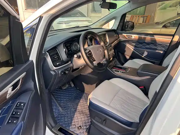 GAC Trumpchi M8 2020