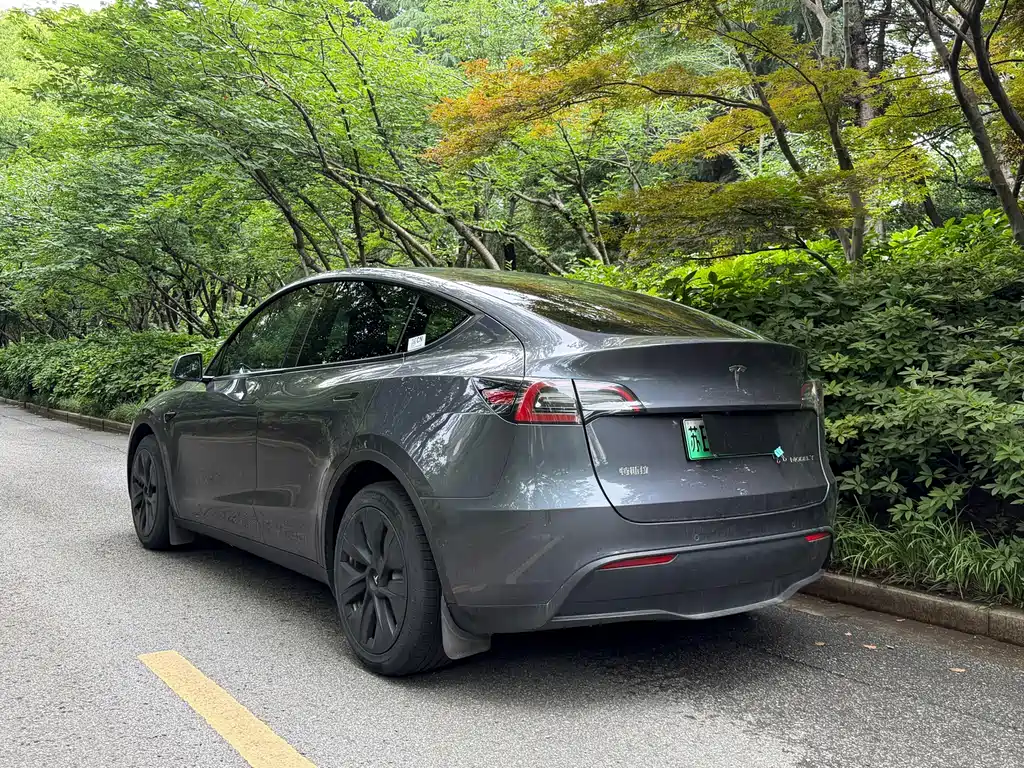 Tesla Model Y 2021 — фото 10