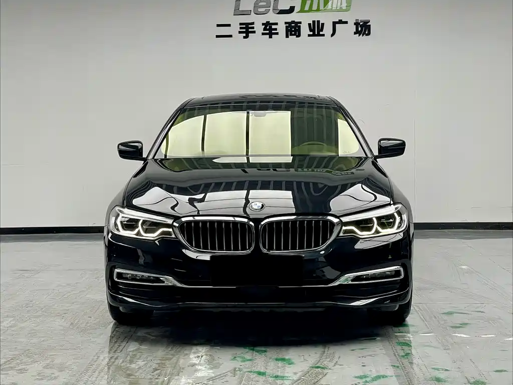 BMW 5 Series New Energy 2019 — фото 2