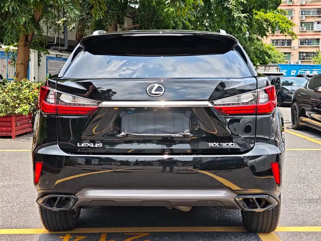 Lexus RX 2018 — фото 6