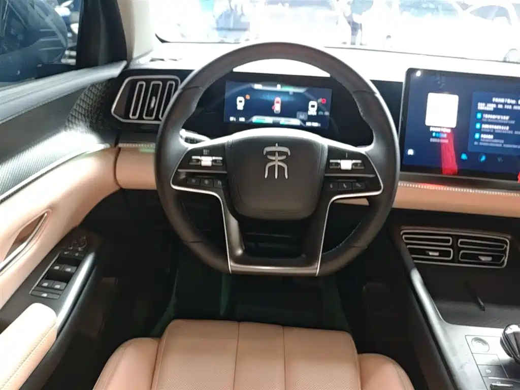 BYD Pro New Energy 2025 — фото 11