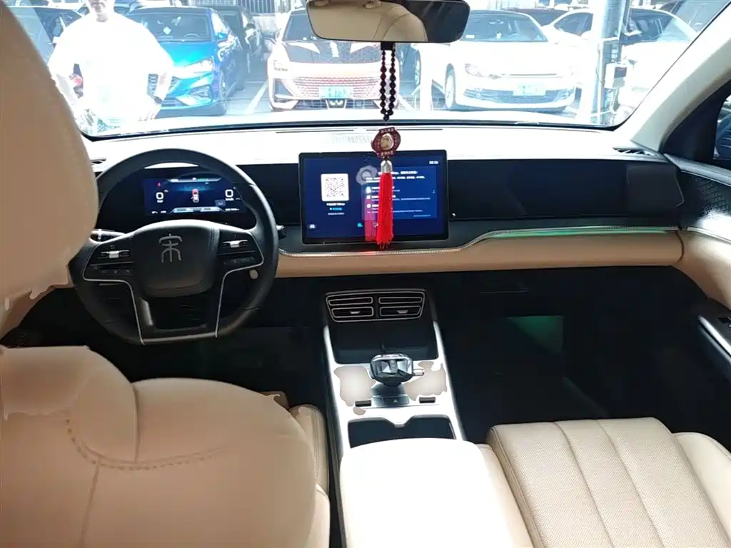 BYD Pro New Energy 2025 — фото 10