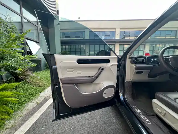 Leapmotor C11 2024