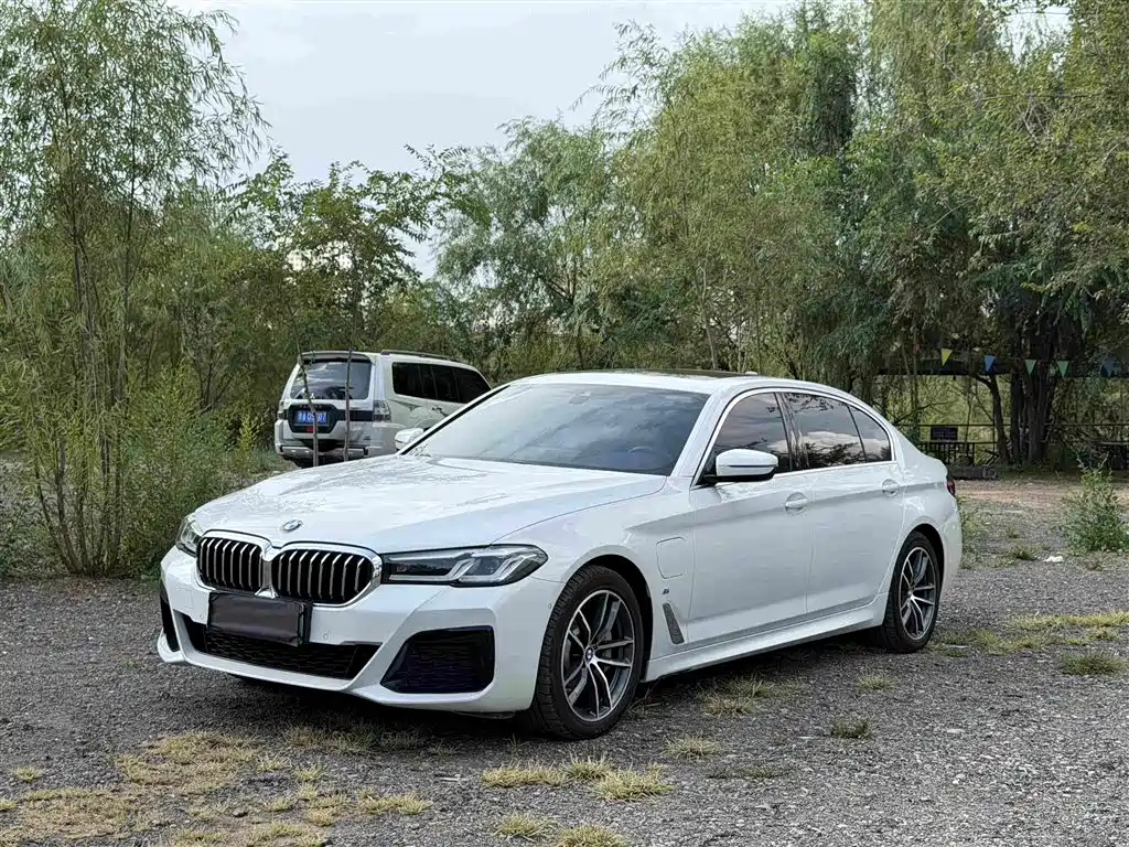 BMW 5 Series New Energy 2020