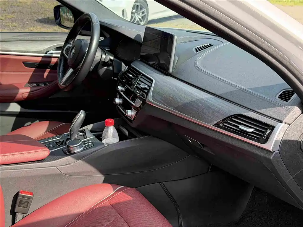 BMW 5 Series New Energy 2020 — фото 12