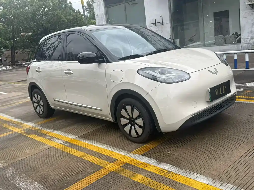Wuling Bingo 2024