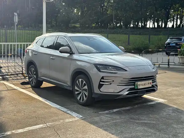 BYD Song PLUS New Energy 2024