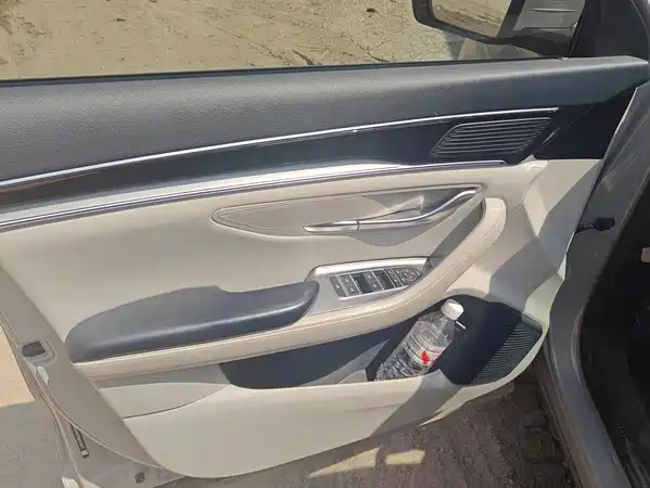 BYD Song PLUS New Energy 2024