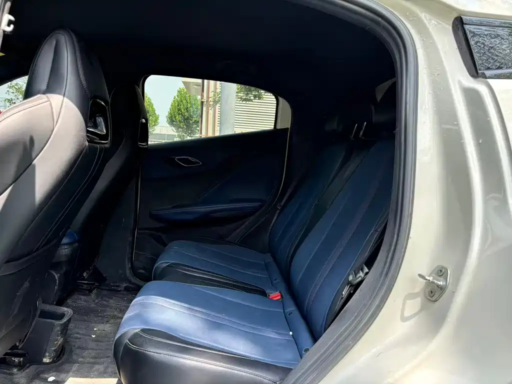 BYD Dolphin 2025