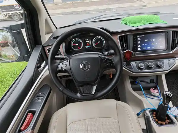 Dongfeng Lingzhi 2020
