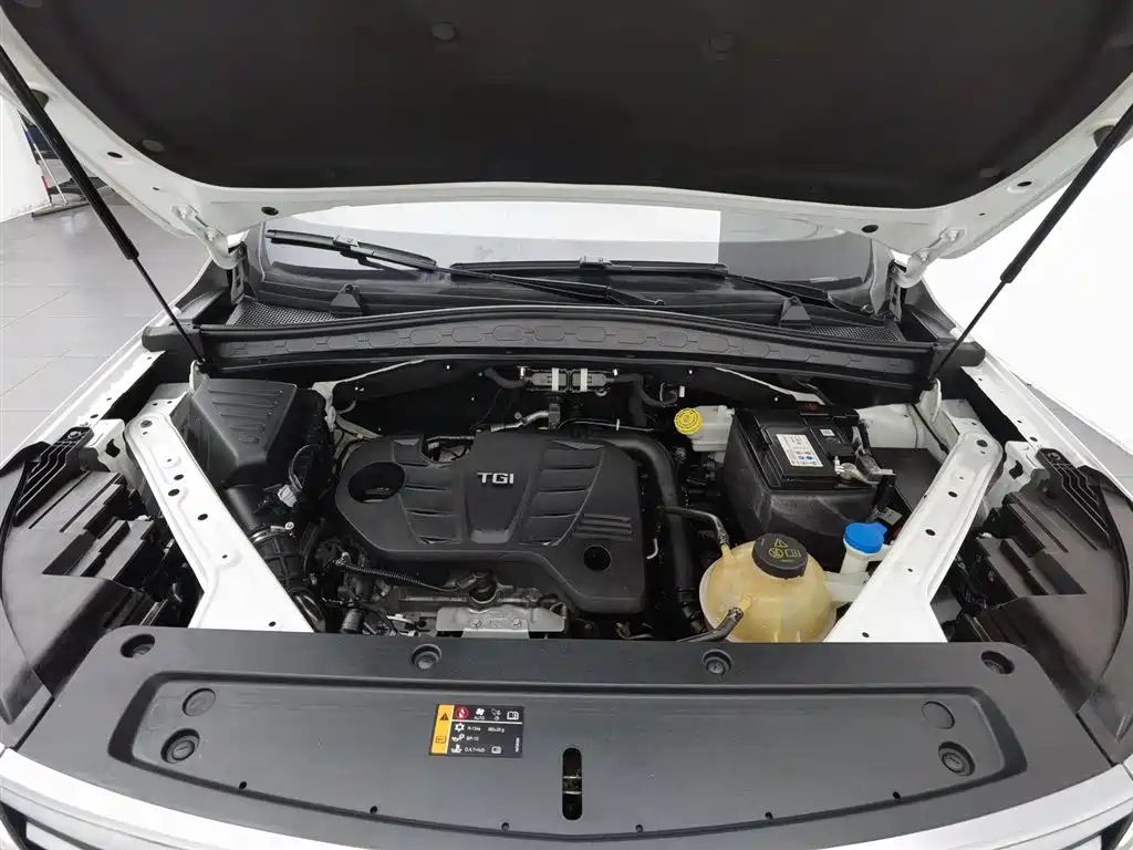 Roewe RX5 MAX 2020 — фото 6