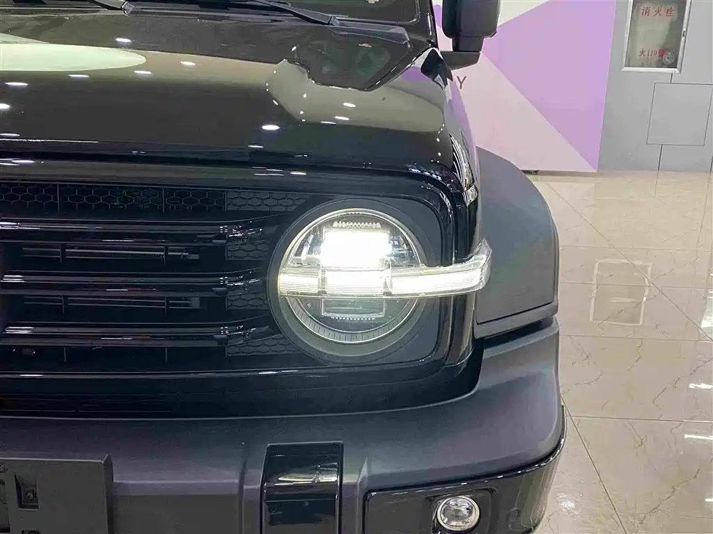 Tank 300 New Energy 2025
