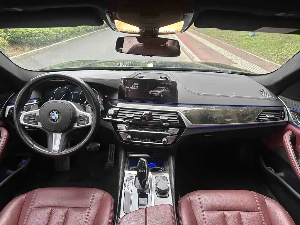 BMW 5 Series 2018 — фото 6