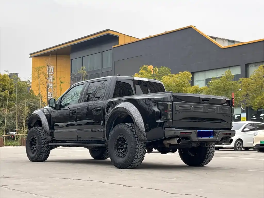 Ford F-150 Raptor 2020 — фото 20