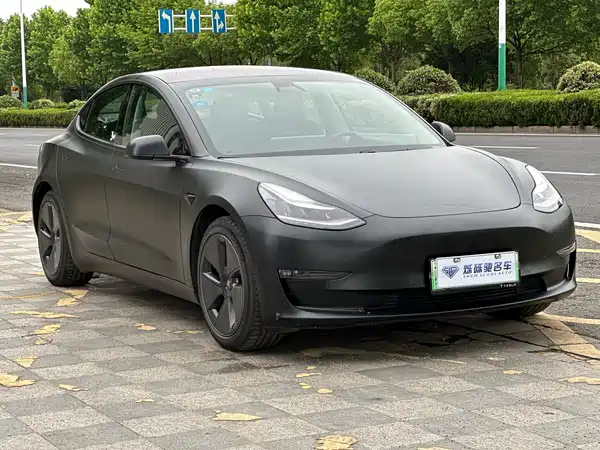 Tesla Model 3 2019