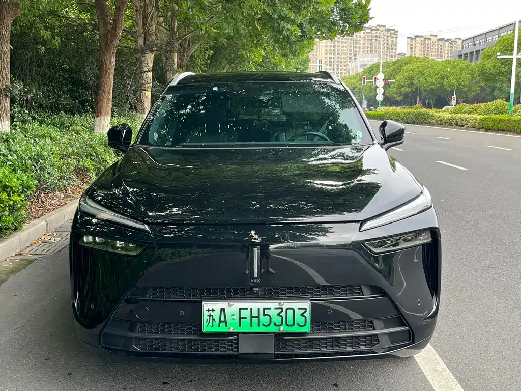 Wey Lanshan 2024