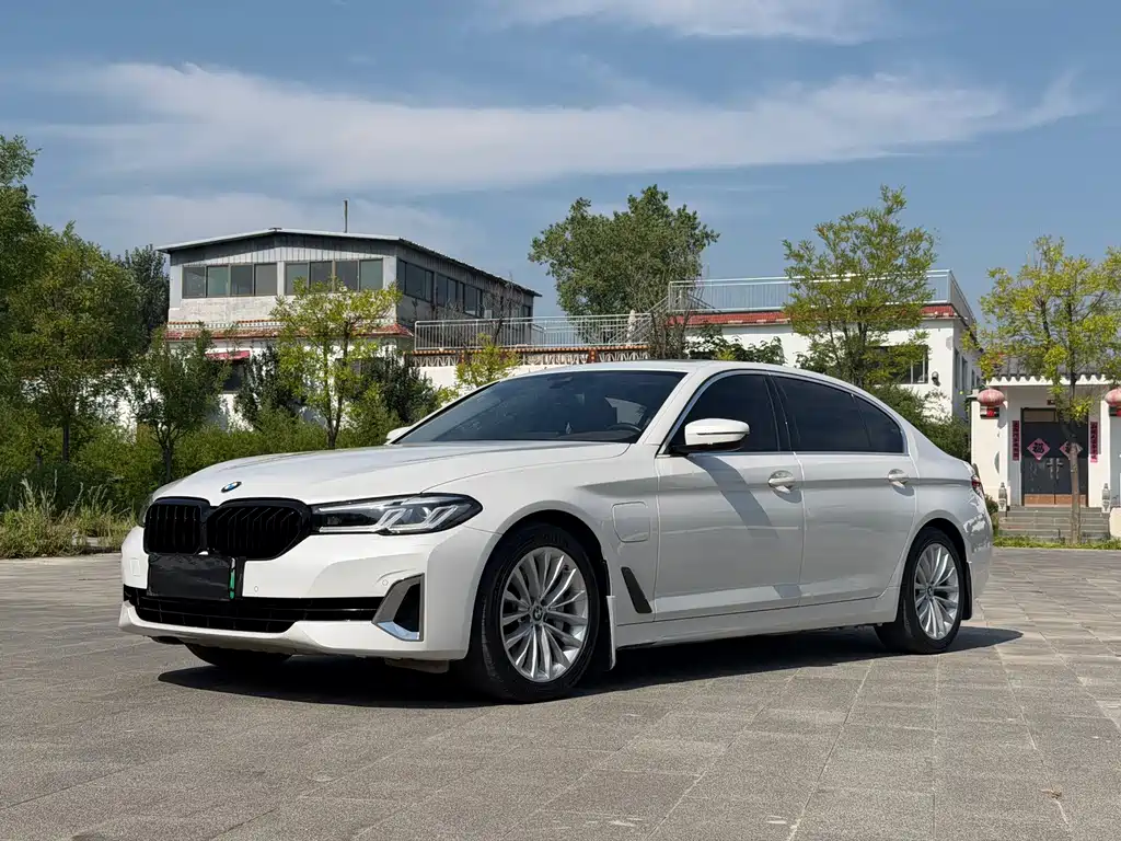 BMW 5 Series New Energy 2020